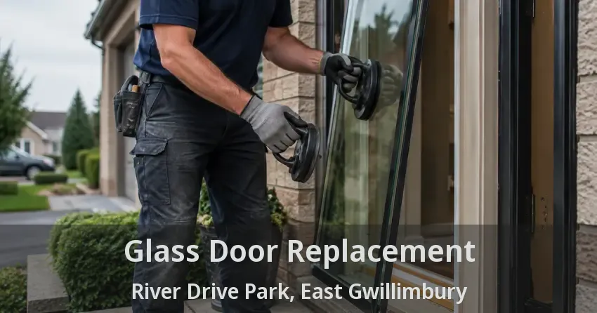 Glass Door Replacement River Drive Park, East Gwillimbury - ON