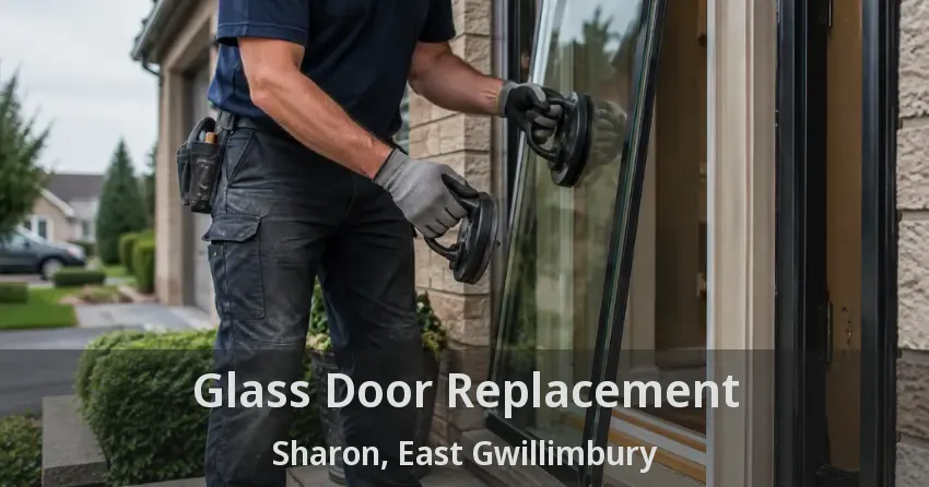 Glass Door Replacement Sharon, East Gwillimbury - ON