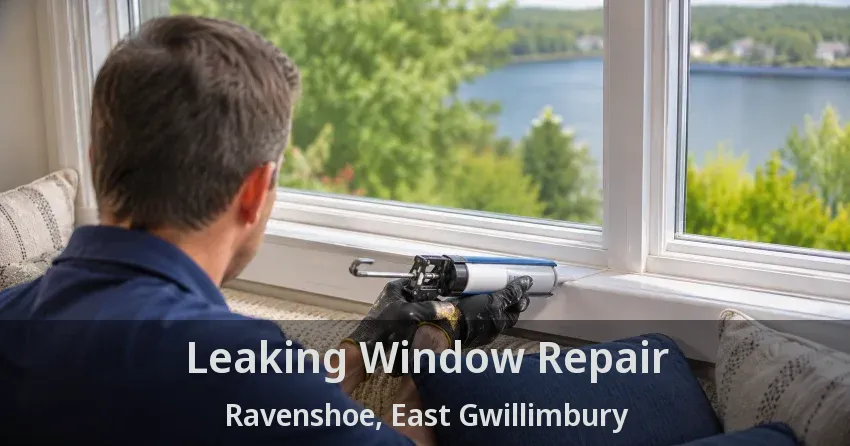 Leaking Window Repair Ravenshoe, East Gwillimbury - ON